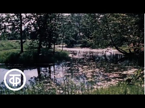 Видео: Под сенью липовых аллей (1986)