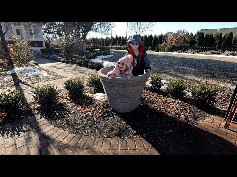 Видео: Установка больших бетонных горшков и уборка клумб! 💪✂️🌿 // Garden Answer