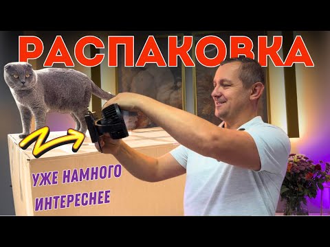 Видео: Что мы нашли в огромной коробке? Находки удивили