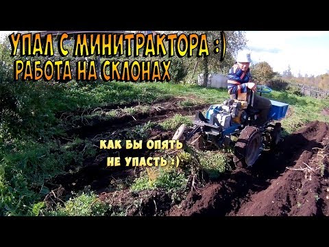 Видео: Упал с минитрактора, работая на склоне. Копаем соседскую картошку.