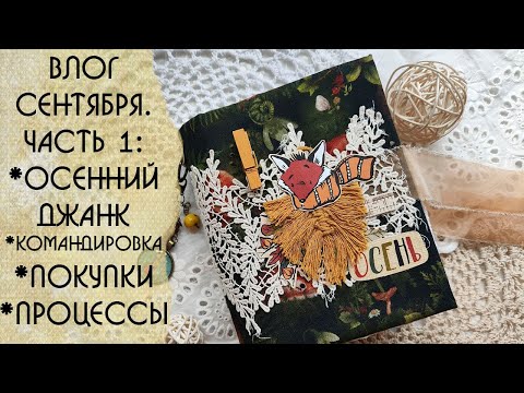 Видео: ВЛОГ сентября. Часть 1. Осенний джанк/Командировка/Покупки/Процессы