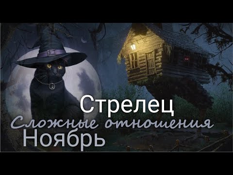 Видео: СТРЕЛЕЦ♐ "Тихое место" Сложные отношения. Ноябрь 2025 г. Валерия Пузырева