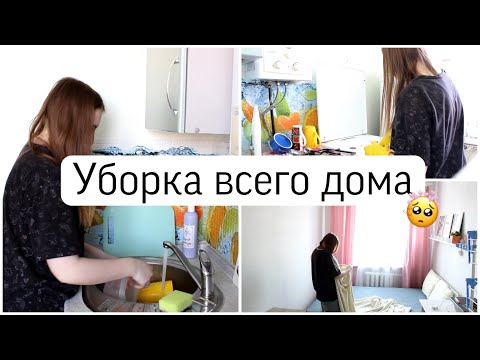 Видео: Уборка от которой я устала | Мои животные