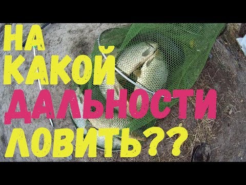 Видео: На какой дальности ловить? Рыбалка на Днестре.