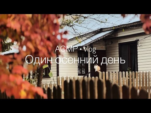 Видео: АСМР ВЛОГ • ASMR VLOG | близкий шепот | на ушко