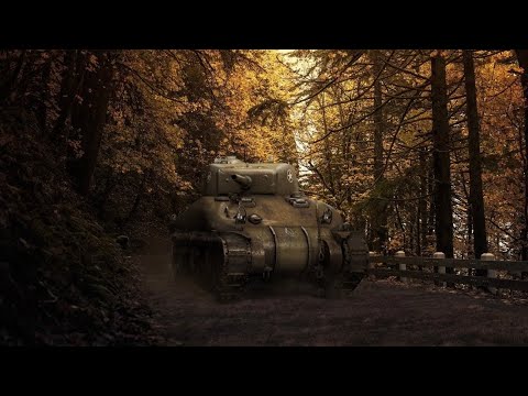 Видео: осенние катки [TANKS BLITZ] #shorts