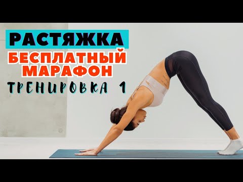 Видео: БЕСПЛАТНЫЙ МАРАФОН ПО РАСТЯЖКЕ / ТРЕНИРОВКА 1