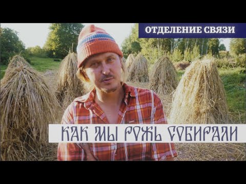 Видео: "Как мы рожь собирали?"