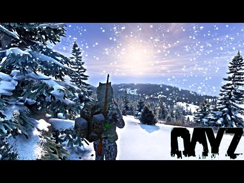 Видео: DAYZ ЗИМОЙ: ХОЛОД, ВЫЖИВАНИЕ И ПОСТАВЛЕННАЯ ЗАДАЧА