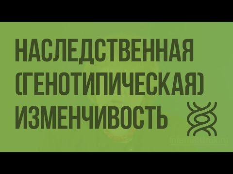 Видео: Наследственная (генотипическая) изменчивость. Видеоурок по биологии 9 класс