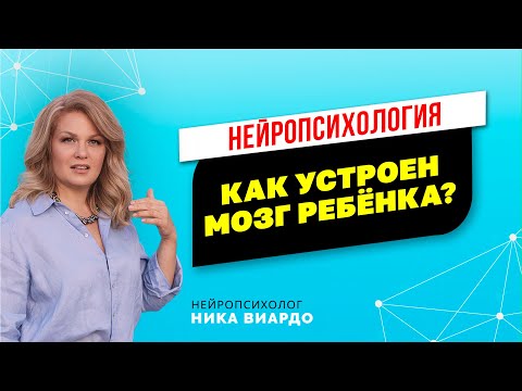 Видео: Развитие мозга у детей! Как формируется мозг и восприятие мира ребёнка? Детская нейропсихология