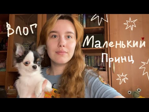 Видео: ВЛОГ: собираю конструктор по маленькому принцу