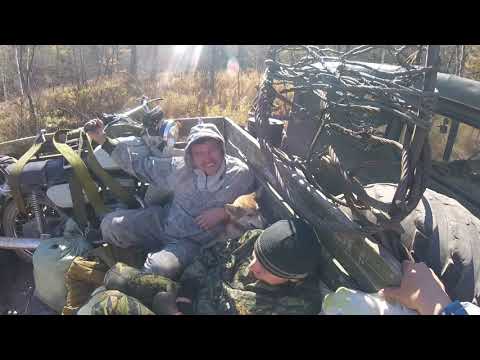 Видео: ОГРОМНЫЙ СЕКАЧ НАПАЛ НА ОХОТНИКА.