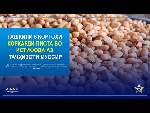 Видео: #ИМРӮЗ. Ташкили 6 коргоҳи коркарди писта бо истифода аз таҷҳизоти муосир.