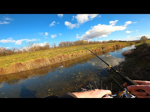 Видео: МІКРО РІЧКА ВИСОХЛА ГЛИБИНА 30 СМ! АЛЕ ЩУКА КЛЮЄ! Ловля ЩУКИ на СПІНІНГ в Листопаді на СИЛІКОН!