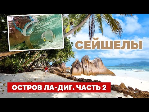 Видео: Сейшелы, остров Ла-Диг. Пляжи с снорклинг. Огромные черепахи, гигантские пауки и летучие лисицы