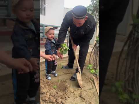 Видео: №11 Шағала бөбекжайы ЖБҚ МКҚК