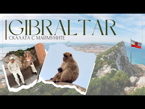 Видео: ГИБРАЛТАР - Скалата с маймуните 🇬🇮🐒
