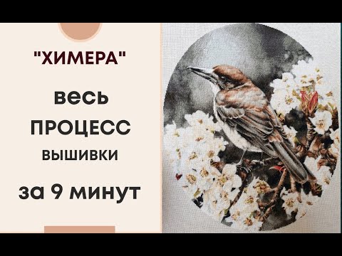 Видео: ВЫШИВКА | "Butcherbird and Nashi" | ХИМЕРА | ВЕСЬ ПРОЦЕСС ЗА 9 МИНУТ