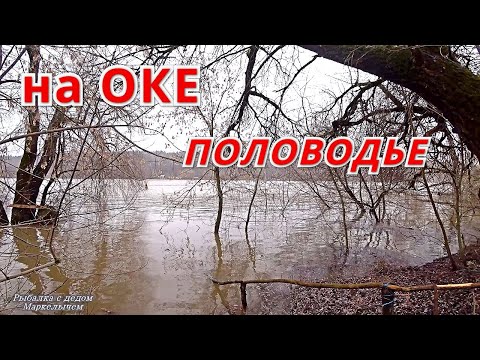 Видео: ЧТО ТВОРИТСЯ НА ОКЕ?  Где рыба? Середина апреля.