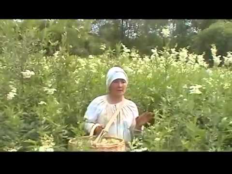 Видео: Наумова Елена Викторовна. Школа Травничества