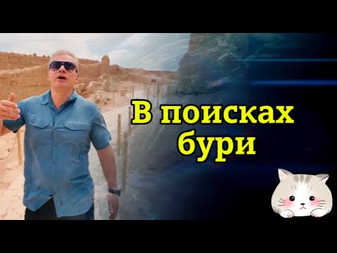 Видео: «НИИ РЕН ТВ 2025» 💖В поисках бури — Невероятно интересные истории (04.06.2025)
