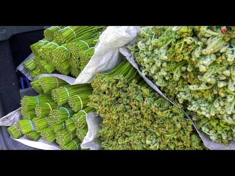 Видео: Быстрый заработок на излишках и дикоросах