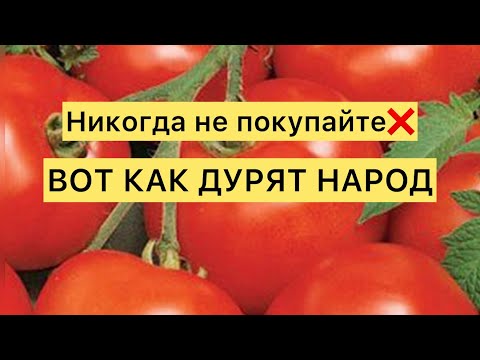 Видео: Никогда НЕ ПОКУПАЙТЕ СЕМЕНА на маркетплейсах! ВОТ КАК ДУРЯТ НАРОД