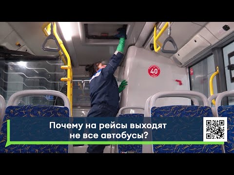 Видео: Почему на рейсы выходят не все автобусы?