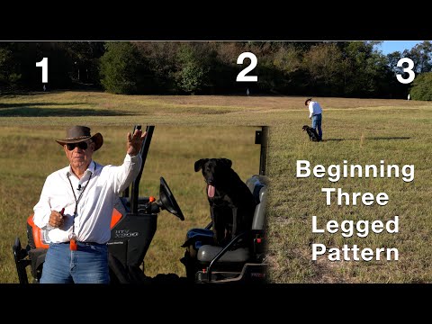 Видео: НОВЫЙ ВЗГЛЯД на модель «Трехногие» с Биллом Хиллманном. Часть 1