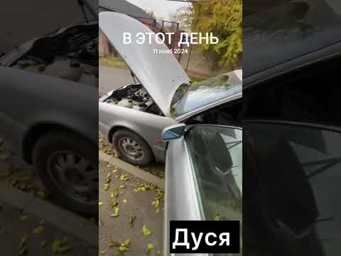 Видео: #дусяшым 