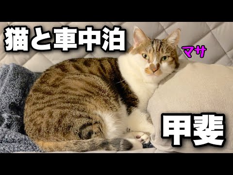 Видео: В конце лета мы с котом отправились в автокемпинг! День 2 обратного пути из Нагано в Тибу.