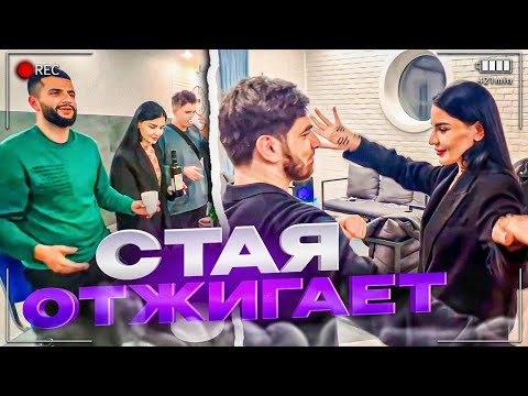 Видео: СТАЯ И ФРИКСКВАД ОТЖИГАЮТ ПО ПОЛНОЙ / СТИЛ И АНТИКА ВСТРЕТИЛИСЬ / ЛЮТЫЕ ТАНЦЫ ОТ РАВШАНА