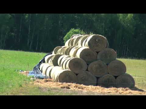 Видео: Работы после обеда