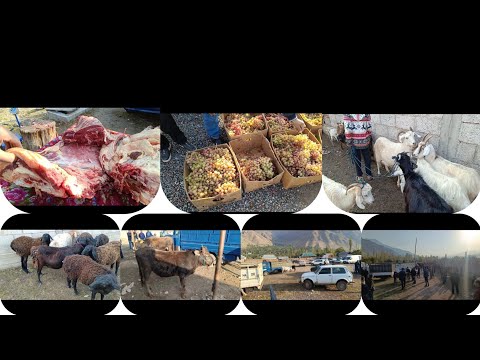 Видео: молбозори Н.рашт. д. Ҳиҷборак👍🇹🇯🌳