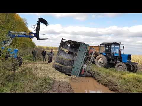 Видео: Уронили груженую телегу. Уборка кукурузы