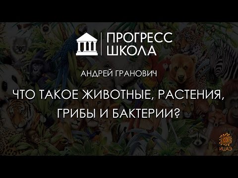 Видео: Андрей Гранович — Что такое животные, растения, грибы и бактерии?