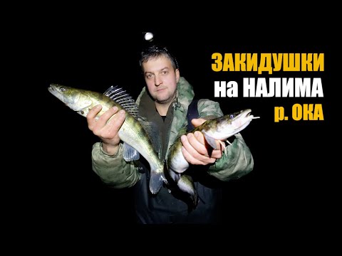 Видео: Закидушки на НАЛИМА на р. Ока