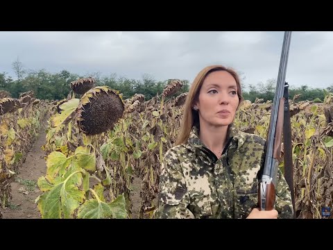 Видео: Открытие охоты на степную дичь в Тимашевских полях. Охотница Настя не уступает мужчинам!