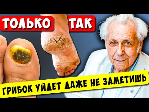 Видео: Неумывакин: Все ГРИБКИ уйдут с вместе с Болезнями! От грибка Снаружи и Внутри!