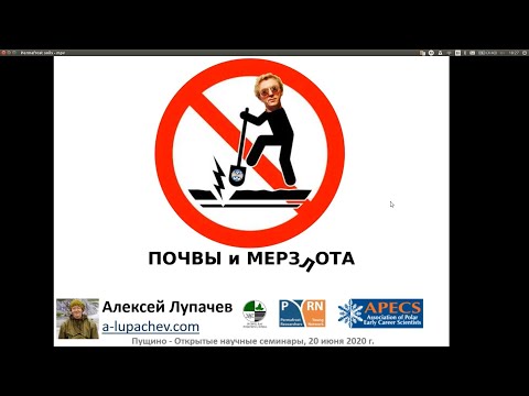 Видео: Почвы и мерзлота, Алексей Лупачев, ИФХиБПП РАН, 20.06.2020