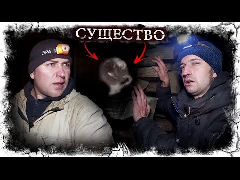 Видео: Мохнатый колобок. Существо из Места Силы. Возвращение Паши?