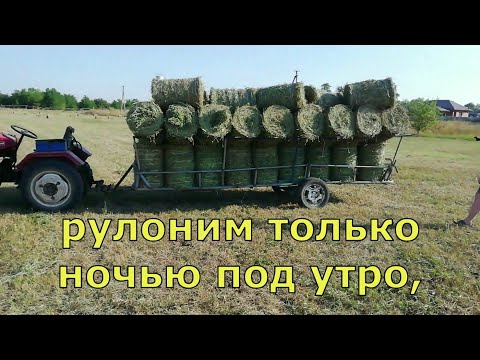 Видео: Сена больше не будет. Сгорело сено. Небывалая жара.