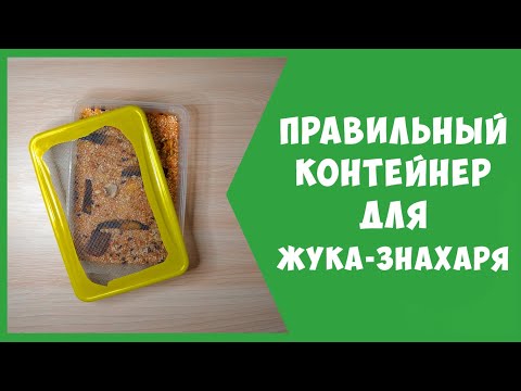 Видео: Изготовление контейнера для жука-знахаря | 100% защита от плесени