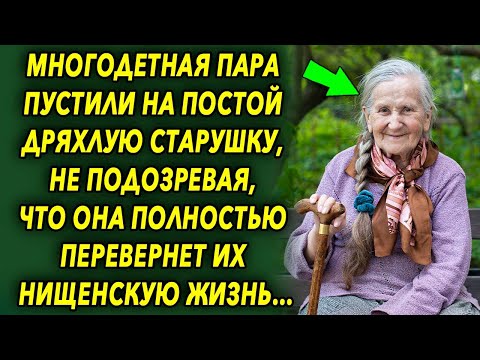Видео: Многодетная пара пустили на постой старушку, не подозревая, что она полностью перевернет их жизнь…