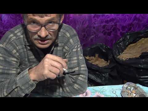 Видео: Дегустация табака 3