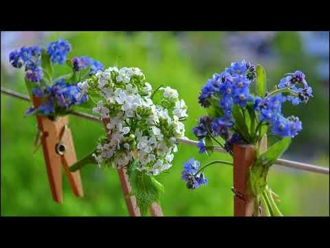 Видео: "Рабі свае справы ў пакоры": казанне кс. Мікалая Ціхановіча ў 22 звычайную нядзелю