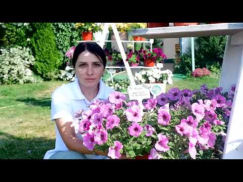 Видео: Новинки 2023 г.