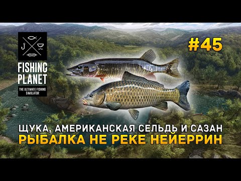 Видео: Щука, Американская сельдь и Сазан. Рыбалка не реке Нейеррин - Fishing Planet #45