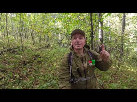 Видео: Прогулка до Волшебной лужи. Существенные изменения. 